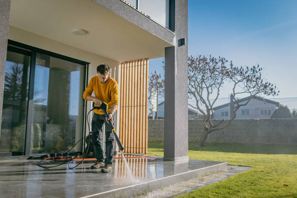 Best Dumpster Area Cleaning  in Pea Ridge, FL